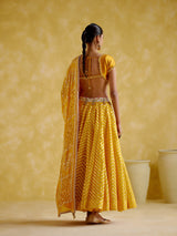 Anvi Yellow (Lehenga)