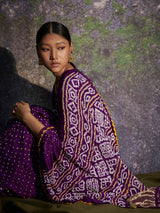 Ambika - Purple Saree - 5elements