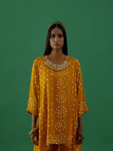 Vishakha - Mustard Co-ords Set - 5elements